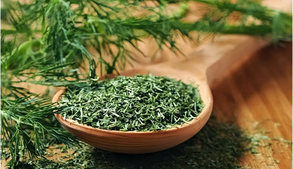 Dill Leaf Tips