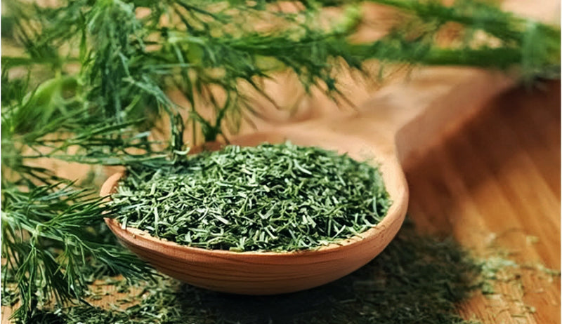 Dill Leaf Tips