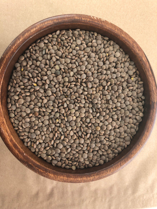 Brown Lentils