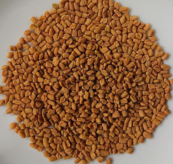 Fenugreek