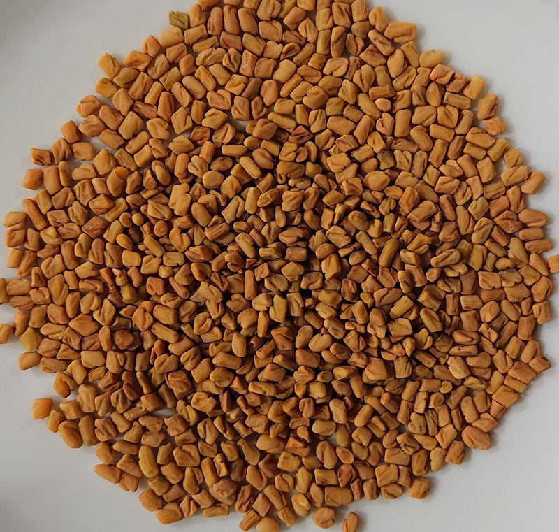 Fenugreek