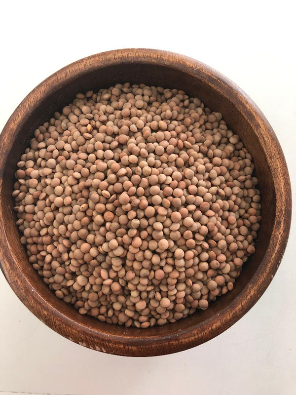 Red Whole Lentils