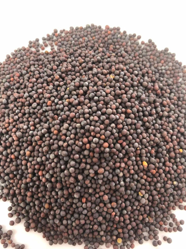 Mustard Seed Brown