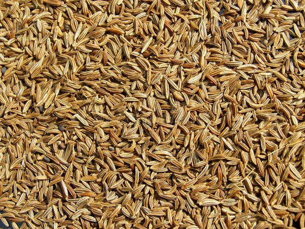 Caraway Seeds