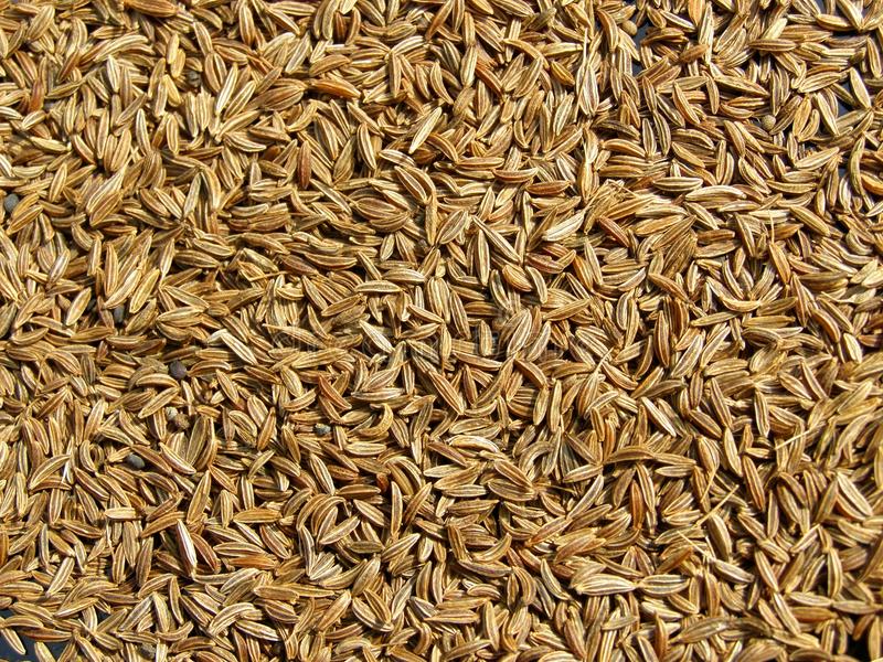 Caraway Seeds