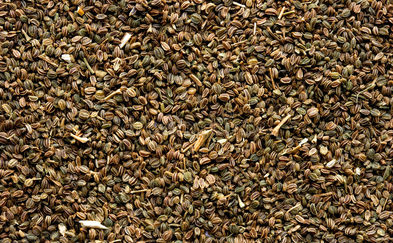 Celery Seeds