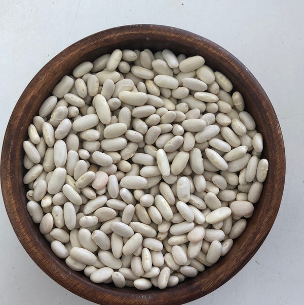 Navy Beans