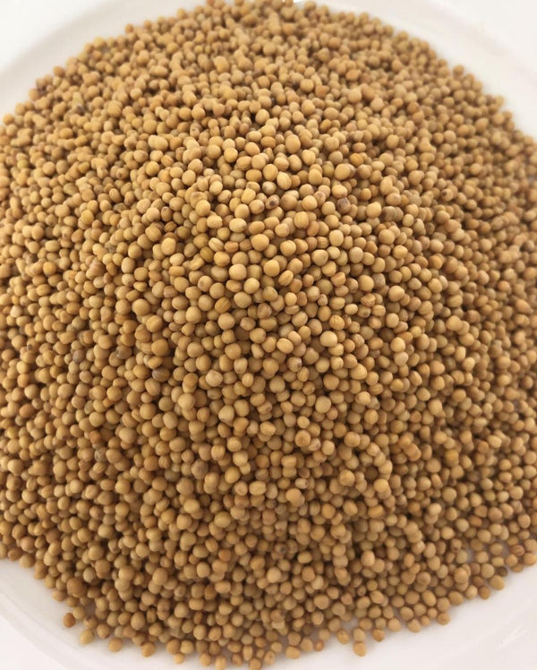 Mustard Seed Yellow